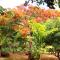 Nature Paradise Pool & Spa - Exceptional Secluded Luxury Location - 勒迪亚芒