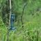 Tented Safari Camp by Base Camp Yala