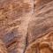 Arena Desert Camp & Adventurers Arena Desert Camp & Adventurers