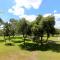 Guadalupe Dew Drop Inn