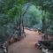 Motswiri Private Safari Lodge