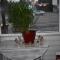 Chez Augustin