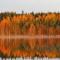 Luontoleirikeskus Honkiniemi