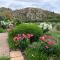 Montagu Vines