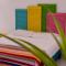 "Vainilla B&B" - Stylish Comfort in Playa del Carmen