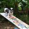 Pousada Portal do Cacau-Petfriendly