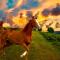 Holiday Inn Express & Suites Ocala by IHG