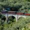 Olive Grove Villas