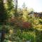 The Fern Lodge
