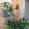 LUXURIOUS APPARTMENTS KATERINA