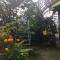 Bishnu Homestay