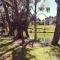 Woodlands of Balingup Bush Cottages -Flora & Fauna focused
