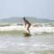 Single Fin Weligama