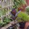RIO Homestay