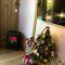 Le domaine des hauts de canche Magnifique Tiny house avec Spa photo 11