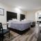 Palace Inn TX-249
