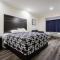 Palace Inn TX-249