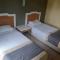 alenz suite