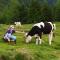 Ferienhaus Gstoderblick - Seebach