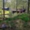 Kolleviks Camping och Stugby