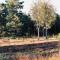 Landhaus mitten in der Lüneburger Heide