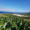 Teno Mountains&Bananas Garden House - Los Silos