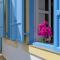 Anastasia house