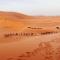 Camel Trekking Desert Camp - Merzouga