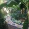 Sana El Jardin Secreto