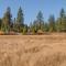 Truckee Donner Lodge