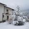 Pinerose Resort