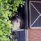 B&B Maarle