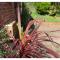 Queens Road Rental - Winchester Accommodation