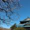 Kougetsu Sanso -- Moon Villa in Tokyo - Hachioji