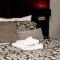Quality Hotel Coventry