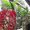 The Fong Krabi resort