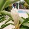 Gites Fleurs dabeilles