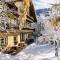 AppartChalet LA RONDULA - 100m from Seceda
