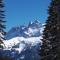 Le Mazot - Avoriaz- séjours du dimanche au dimanche