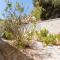 Charming one-floor villa with private pool in Los Balcones - توريفايجا