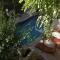 Hotel Zamna Boutique