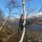 Oppdal Alpintun