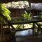 Casa de la Iguana - Lívingston