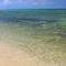 Beautiful Studio in Akumal Paradise - Wifi, AC - Akumal