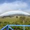 Mole Creek Hideaway