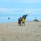 Marari Nest Beach Homestay