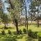 Punta del Este, Forest Lagoon, Luxury