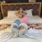 Bei Yue B&B