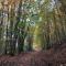 Sunrise Cabin et Sauna