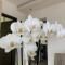 Orchidea Apartmanház Egerszalók